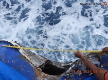 PH says latest WPS collisions due to China's 'dangerous, illegal maneuvers' 